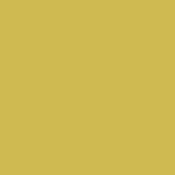 Traditional Textures - Inca Gold Swatch